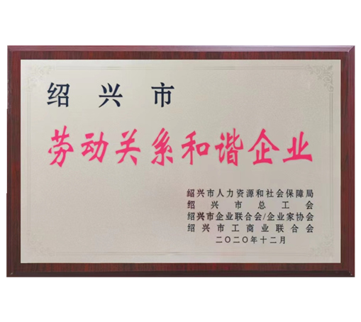 勞動(dòng)關(guān)系和諧企業(yè)-嵊州市雙港電器有限公司