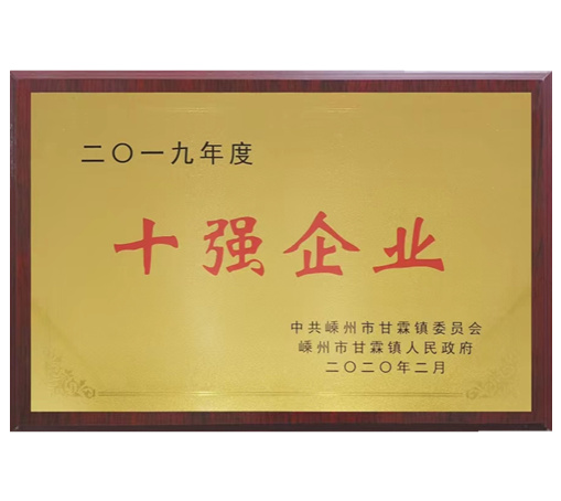 十強(qiáng)企業(yè)-嵊州市雙港電器有限公司